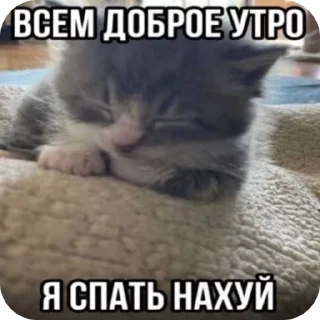 🌟 emoji Скибиди Telegram sticker 13 of 75