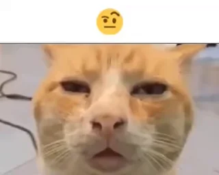 🤨 emoji Больше стиков тут: @stikery4 Telegram sticker 19 of 50