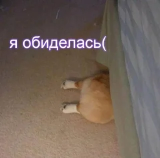 Sticker from хуй
