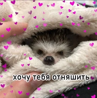 🌟 emoji хуй Telegram sticker 8 of 83