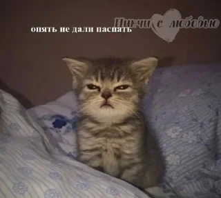 Sticker from хуй