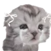 😭 emoji позволь мне исчезнуть ᅠᅠᅠᅠᅠᅠᅠᅠ Telegram sticker 20 of 104