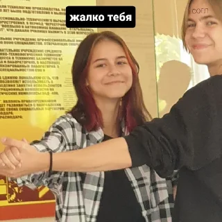 😔 emoji мы любим геев Telegram sticker 19 of 53