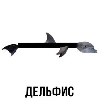 🐬 emoji Больше стиков тут: @stikery4 Telegram sticker 16 of 37
