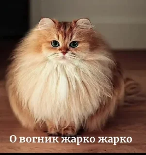 Sticker from Муфлончик 228, кул 2017😞