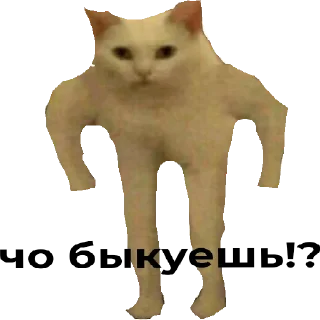 Sticker from Коты чееек