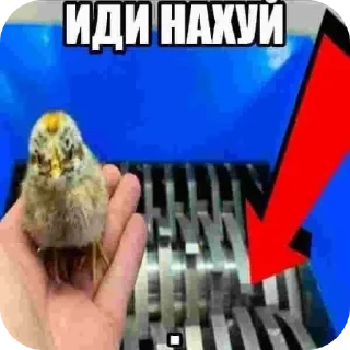 👍 emoji чюпеп Telegram sticker 10 of 114