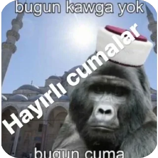 Sticker from Yorgun goril