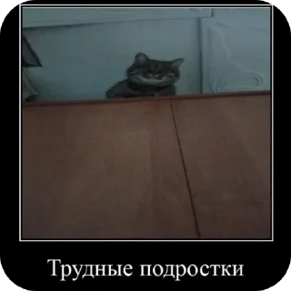 Sticker from кузя @BobrikLega2