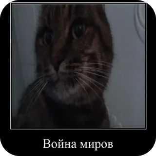 Sticker from кузя @BobrikLega2