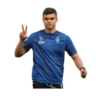 ✌️ emoji Крылья Советов | fanKC 🇸🇱 Telegram sticker 22 of 70