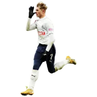 🐓 emoji Крылья Советов | fanKC 🇸🇱 Telegram sticker 23 of 70
