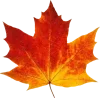 🤩 emoji ㅤдеградация – @madyush1a   ㅤ Telegram sticker 3 of 80