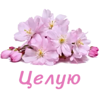 🤩 emoji Больше стиков тут: @stikery4 Telegram sticker 19 of 57