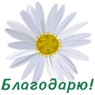 🤩 emoji Больше стиков тут: @stikery4 Telegram sticker 7 of 57
