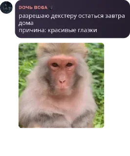 🇱🇧 emoji Бучер Family pack by @QuotLyBot Telegram sticker 19 of 120
