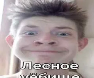 🙏 emoji Лесные уёбища Telegram sticker 18 of 60