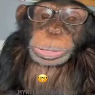🐵 emoji Жмихнути монке 2.0 :: @stikery_robot Telegram sticker 16 of 35