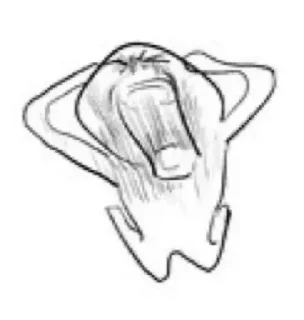 😭 emoji Больше стикеров 👉🏻 @stickertg4 Telegram sticker 13 of 115