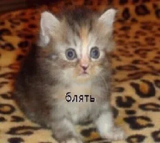 🥲 emoji Больше стиков тут: @stikery4 Telegram sticker 7 of 16