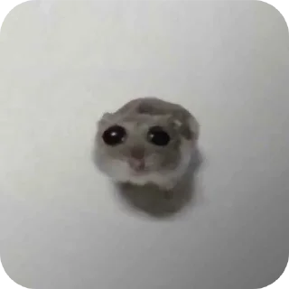 Sticker from Бесконечный подъезд