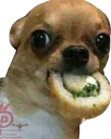 Sticker from lolz