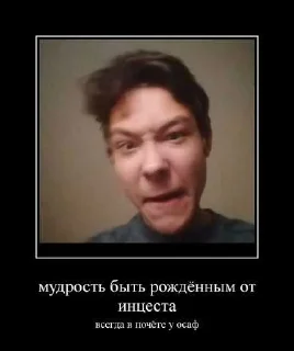 😎 emoji Отряд свинодетей осаф ➡️ @Ctikerubot Telegram sticker 2 of 14