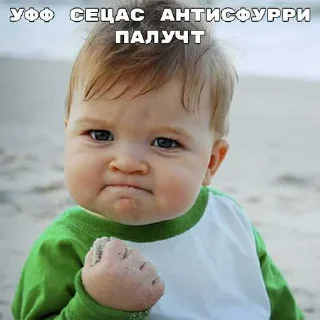😱 emoji Отряд свинодетей осаф ➡️ @Ctikerubot Telegram sticker 5 of 14