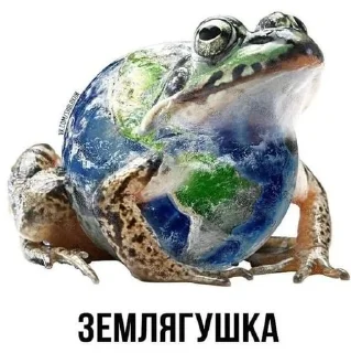 Sticker from Слово+слово➡️ @stickers_gold