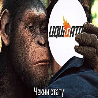 🐵 emoji Liquidator Shmeh shme Telegram sticker 3 of 34