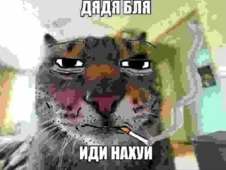 😜 emoji @sticksbb 🩷 <- канал со стиками Telegram sticker 15 of 47