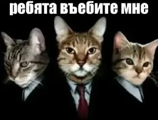 😳 emoji @sticksbb 🩷 <- канал со стиками Telegram sticker 7 of 47