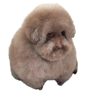 😍 emoji Горішок Хватит Курить Траву Telegram sticker 5 of 9