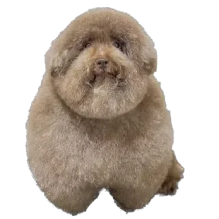 😍 emoji Горішок Хватит Курить Траву Telegram sticker 7 of 9