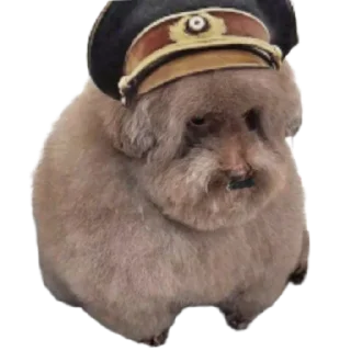 🇩🇪 emoji Горішок Хватит Курить Траву Telegram sticker 4 of 9