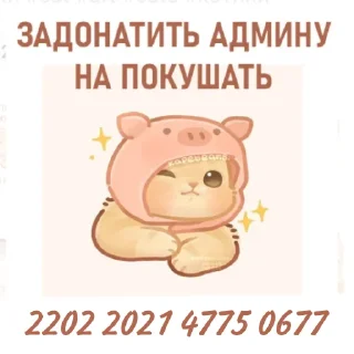 Sticker from Котики / @Stick4GramProjects