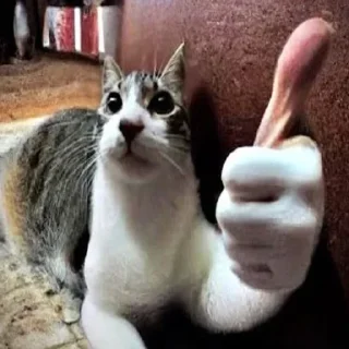 👍 emoji @sticksbb <— больше стиков💓💘💞 Telegram sticker 7 of 95