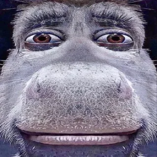 😨 emoji @sticksbb <— больше стиков💓💘💞 Telegram sticker 22 of 95