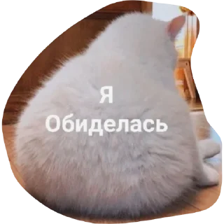 😾 emoji Мяу Telegram sticker 10 of 10