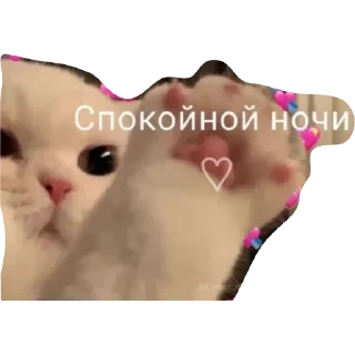 ❤ emoji Мяу Telegram sticker 4 of 10