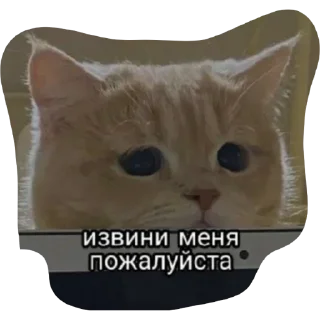 😿 emoji Мяу Telegram sticker 9 of 10