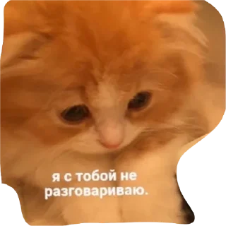 😾 emoji Мяу Telegram sticker 5 of 10