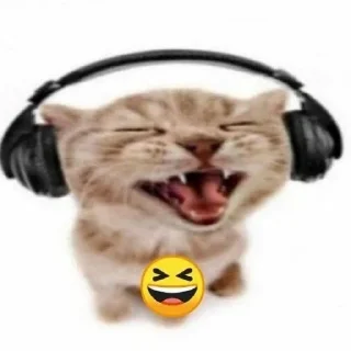 😆 emoji Мяу Telegram sticker 9 of 31