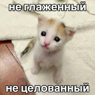 😔 emoji миу ➡️ @Ctikerubot Telegram sticker 11 of 20