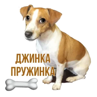 🐶 emoji Elli Di stickers 🎥 Telegram sticker 3 of 10