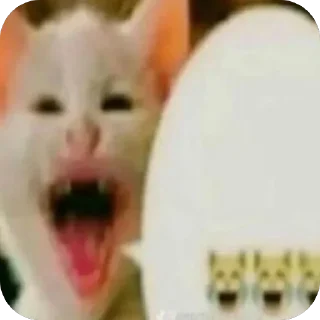 🫥 emoji Hot🔥Cats🙀 ➡️ @Qantarbaev Telegram sticker 21 of 44