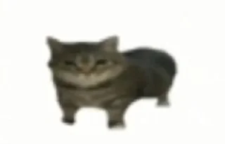 😜 emoji Hot🔥Cats🙀 ➡️ @Qantarbaev Telegram sticker 12 of 44