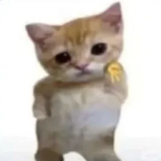 😍 emoji Hot🔥Cats🙀 ➡️ @Qantarbaev Telegram sticker 15 of 44