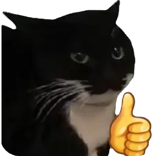 🫥 emoji Hot🔥Cats🙀 ➡️ @Qantarbaev Telegram sticker 24 of 44