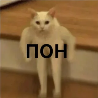 Sticker from Ахуеные стики